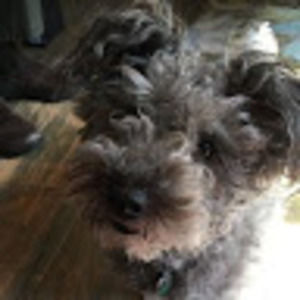 Meet your Posher, Lidia